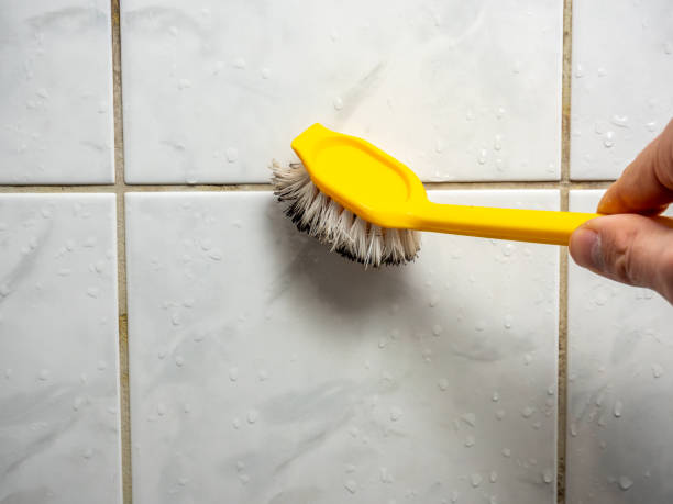 Best Mold Damage Repair  in Cottageville, SC